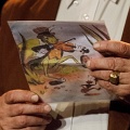 2012-05-16-205951-uvol-20cheneviere-OK