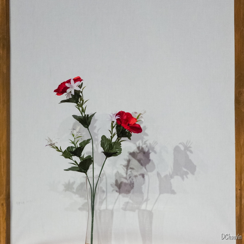 2015-02-08-172112-uvol-femmes.jpg