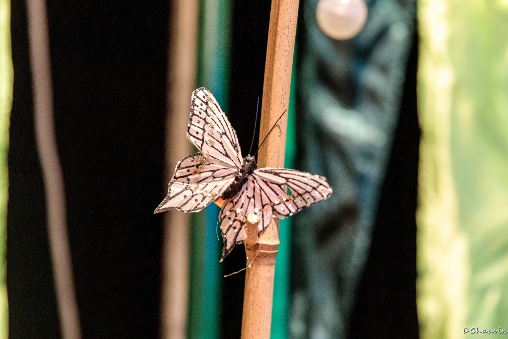 2019-04-19-092618-uvol-betes-herbe.jpg