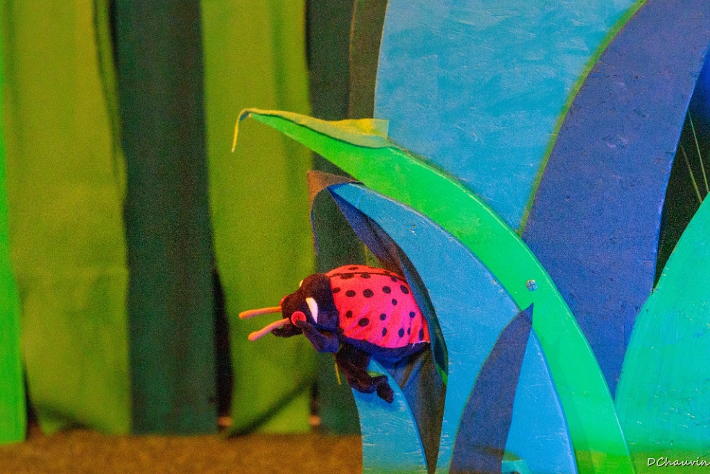 2019-04-19-095737-uvol-betes-herbe.jpg