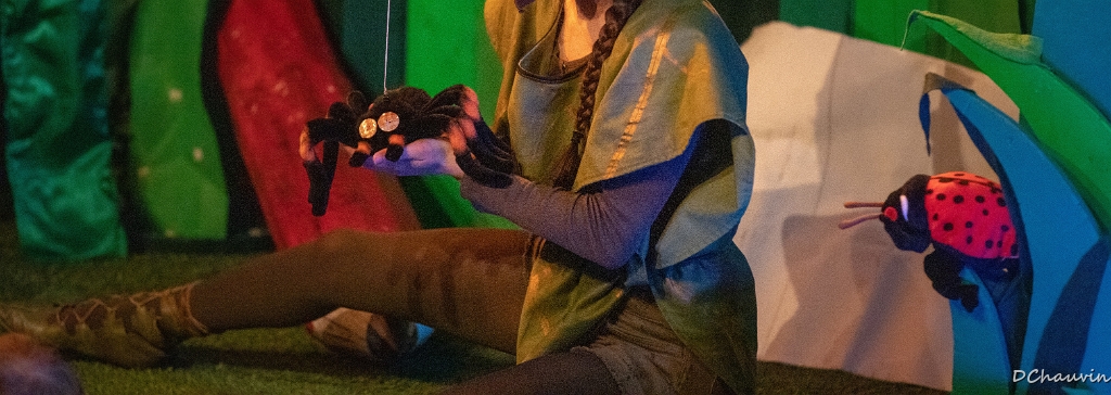 2019-04-19-100039-uvol-betes-herbe.jpg