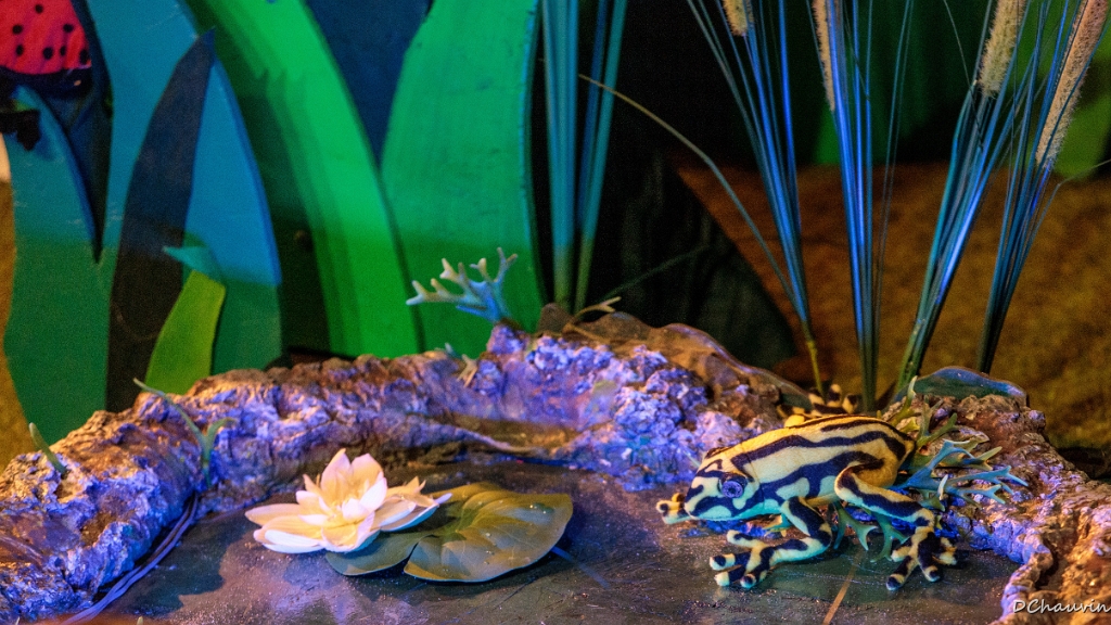 2019-04-19-100445-uvol-betes-herbe.jpg