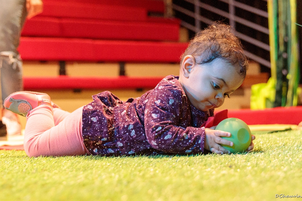 2019-04-19-101814-uvol-betes-herbe.jpg