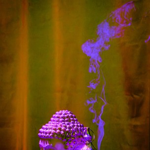 2023-06-08-201956-uvol-maharajah-2