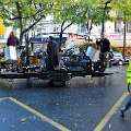2010-10-30-102810-manifreculons-OK