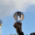 2010-10-30-103815-manifreculons-OK