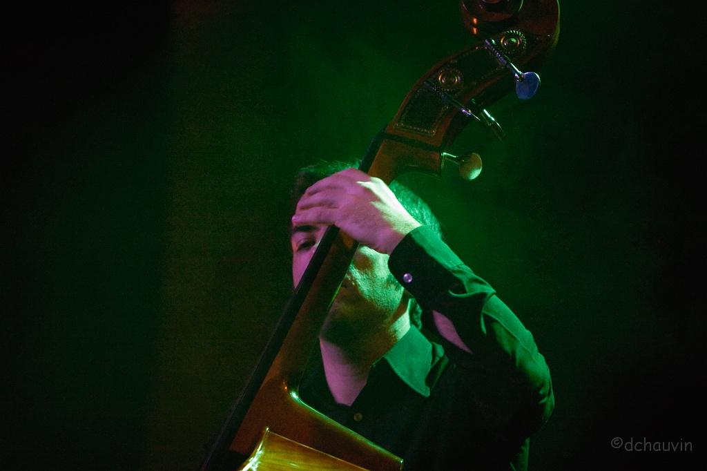 2008-11-obs-zingara-OK.jpg