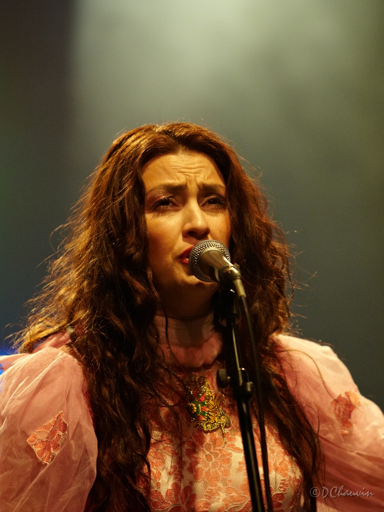 2011-02-obs-rona-hartner (3).jpg