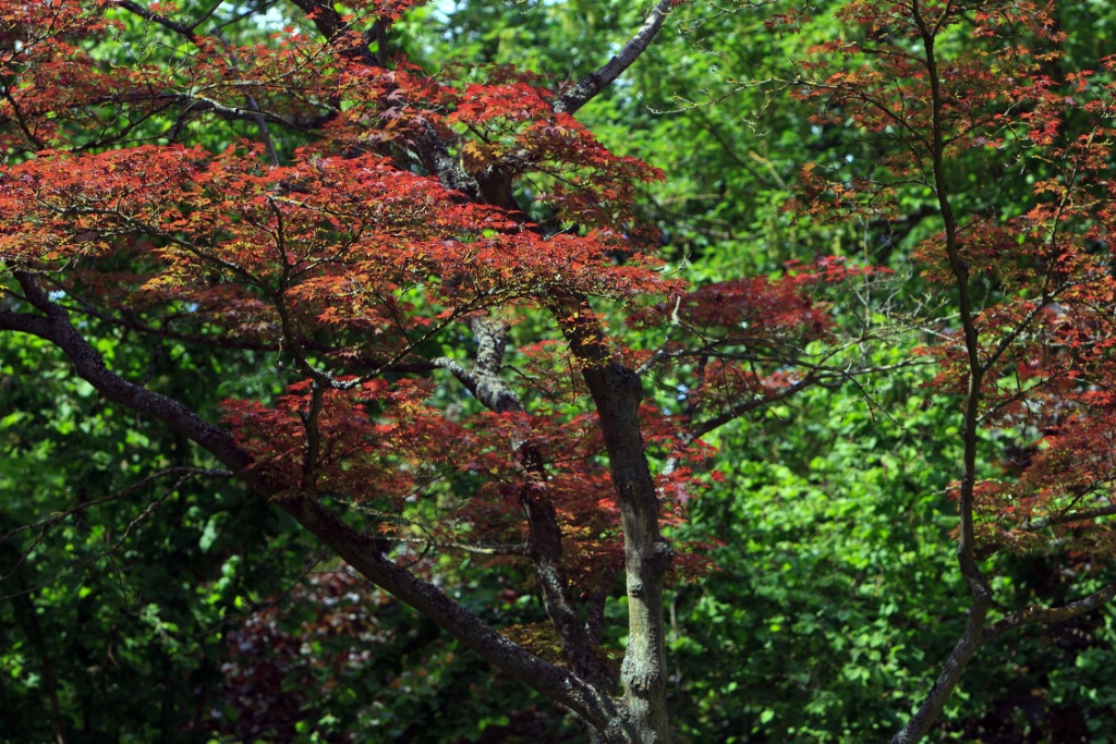 2011-05-08-140752-jouy-parc-OK