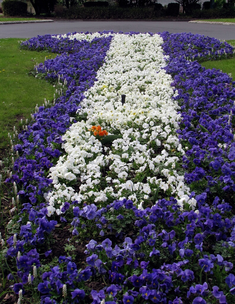 2009-04-cergy-fleche3-OK