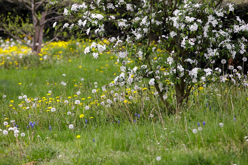 2009-04-pref-OK (15)