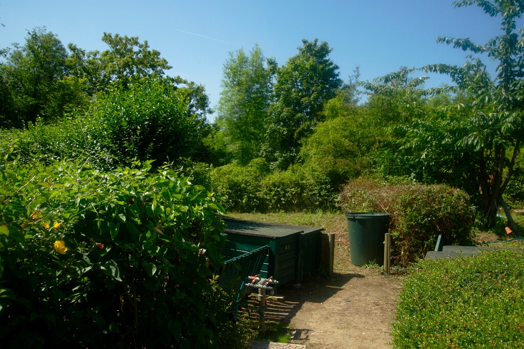 2009-06-27-jardin-OK (10)