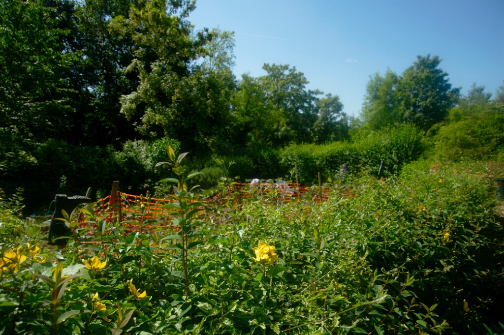 2009-06-27-jardin-OK (11)