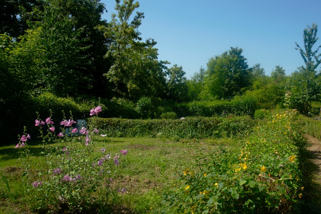 2009-06-27-jardin-OK (12)