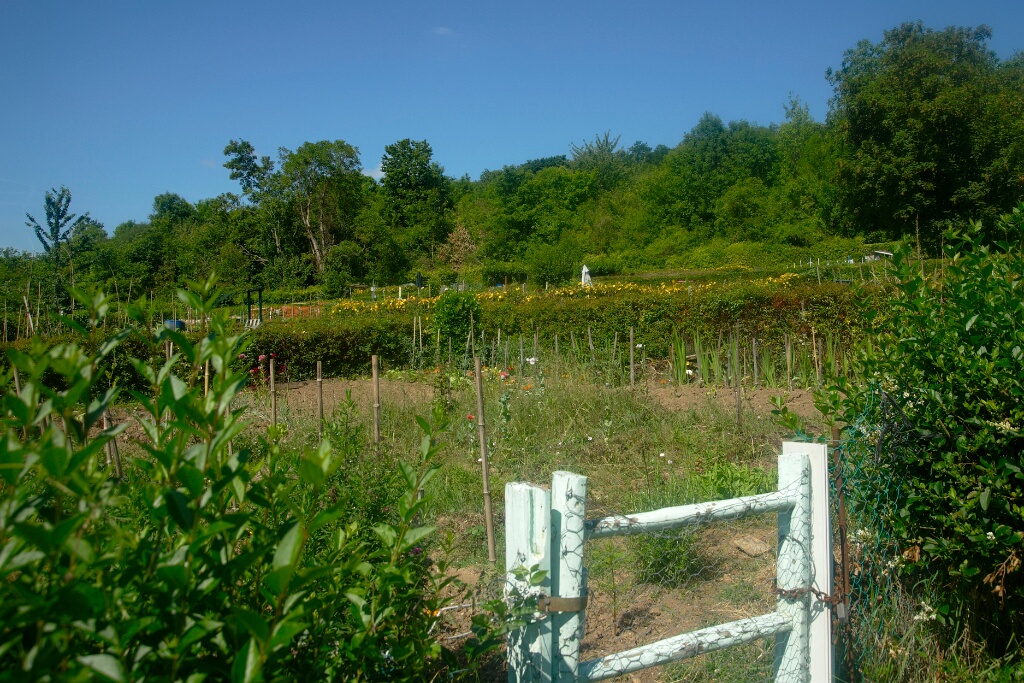 2009-06-27-jardin-OK (13)