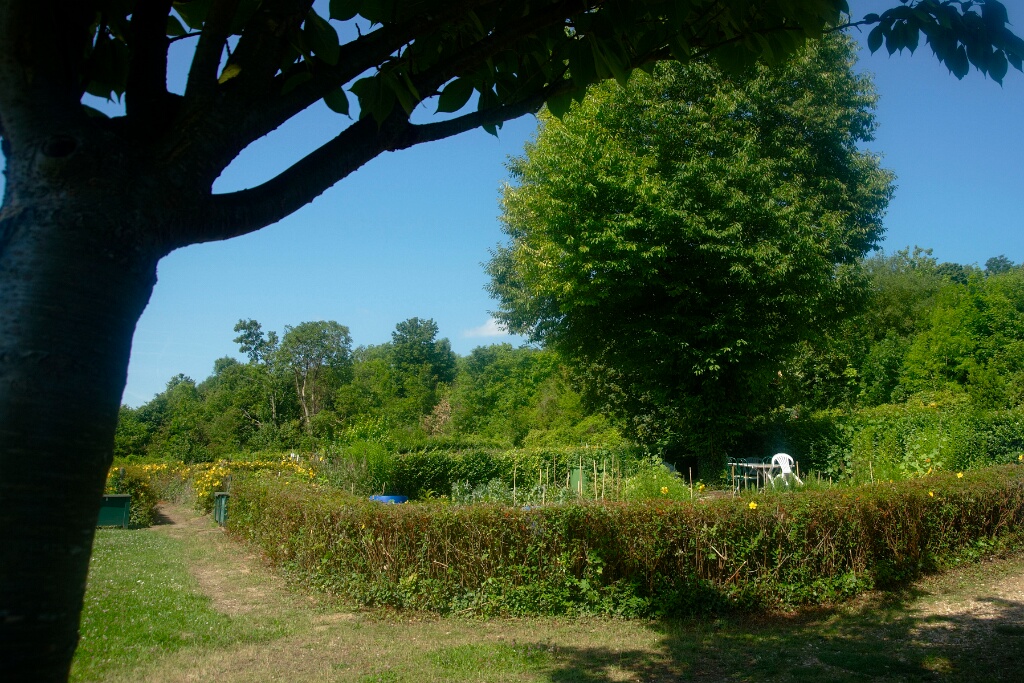 2009-06-27-jardin-OK (14)