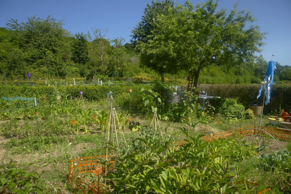 2009-06-27-jardin-OK (15)