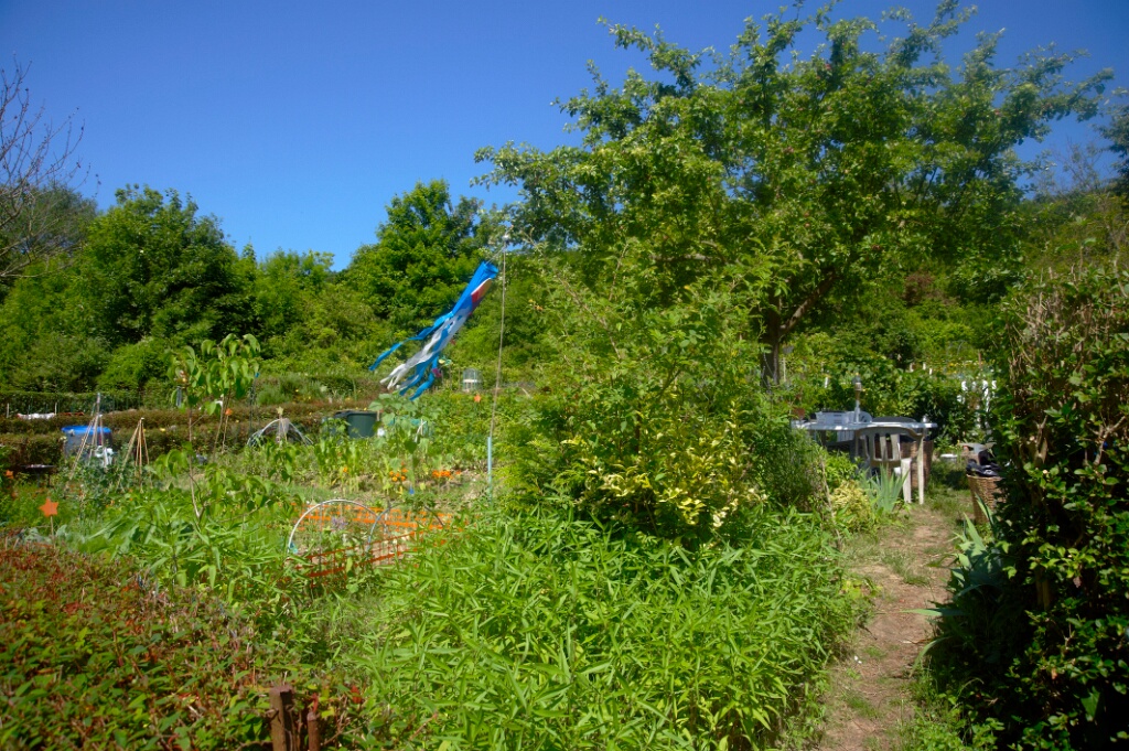 2009-06-27-jardin-OK (16)