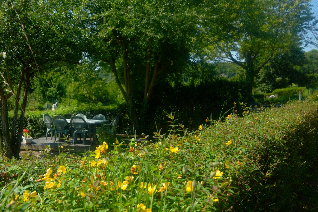 2009-06-27-jardin-OK (17)