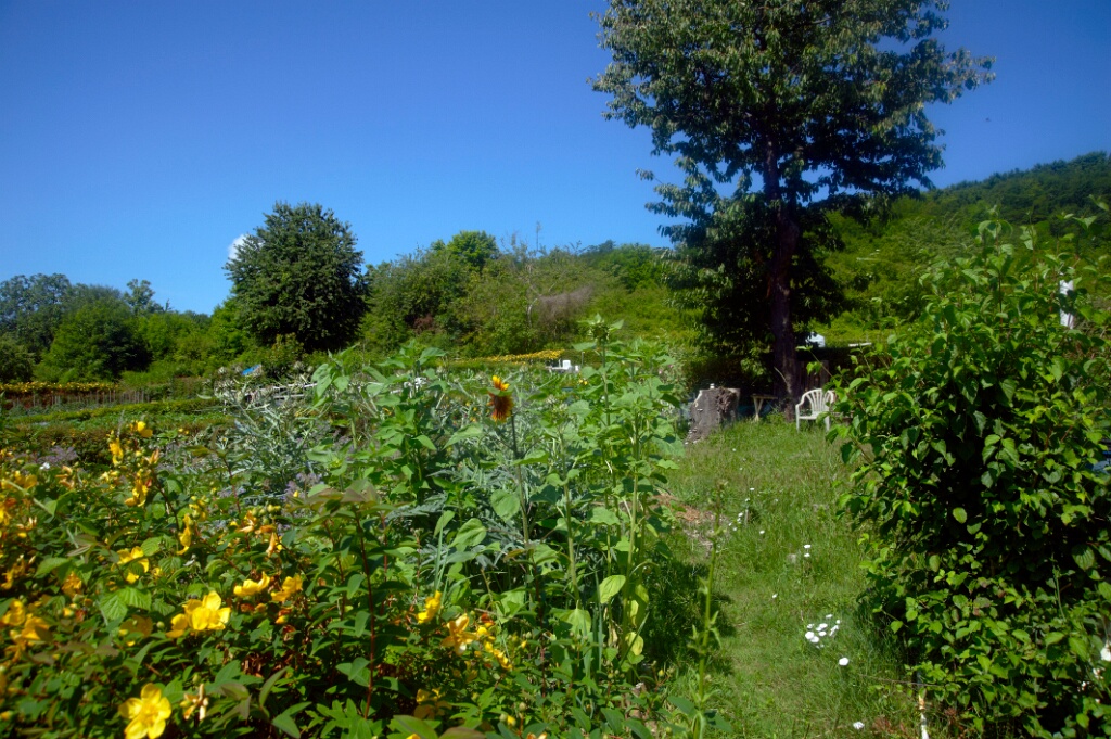 2009-06-27-jardin-OK (19)
