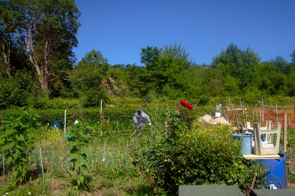 2009-06-27-jardin-OK (2)