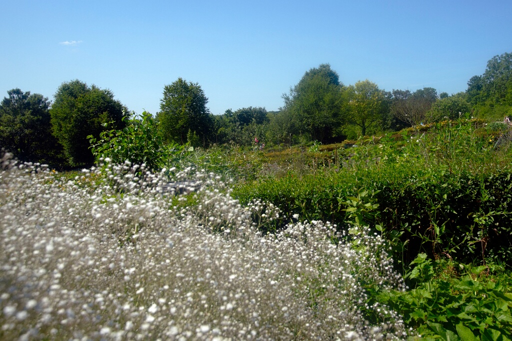 2009-06-27-jardin-OK (22)