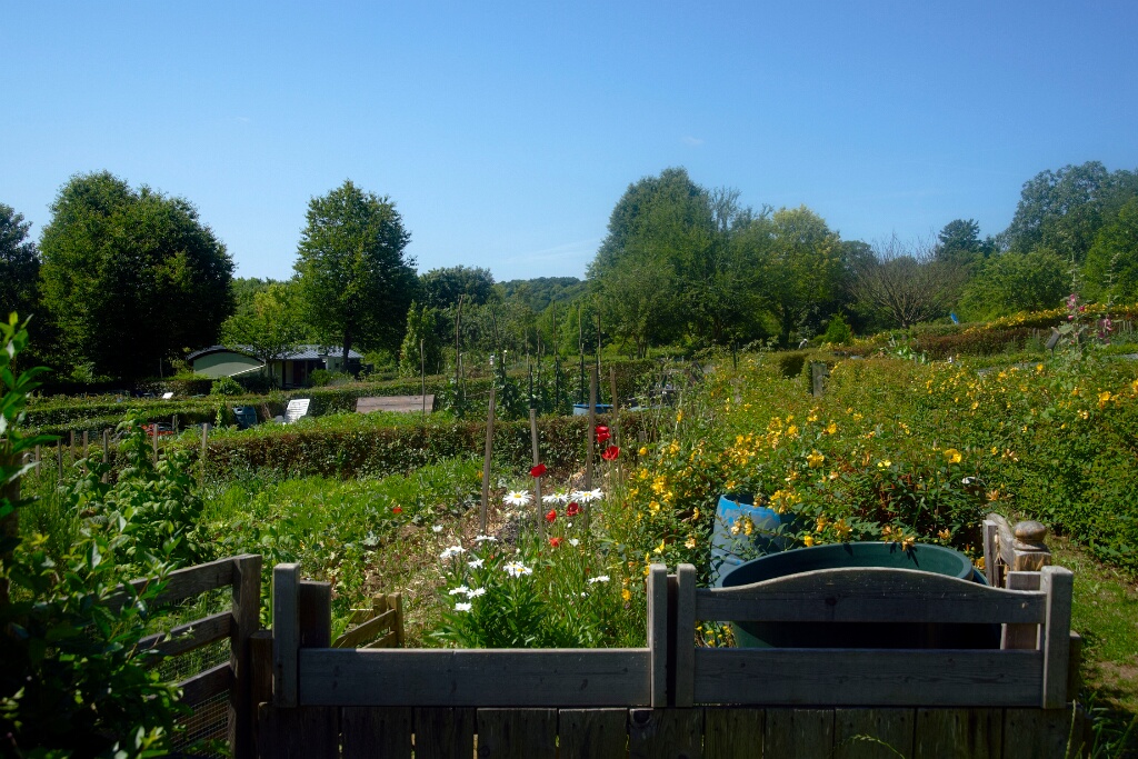 2009-06-27-jardin-OK (24)