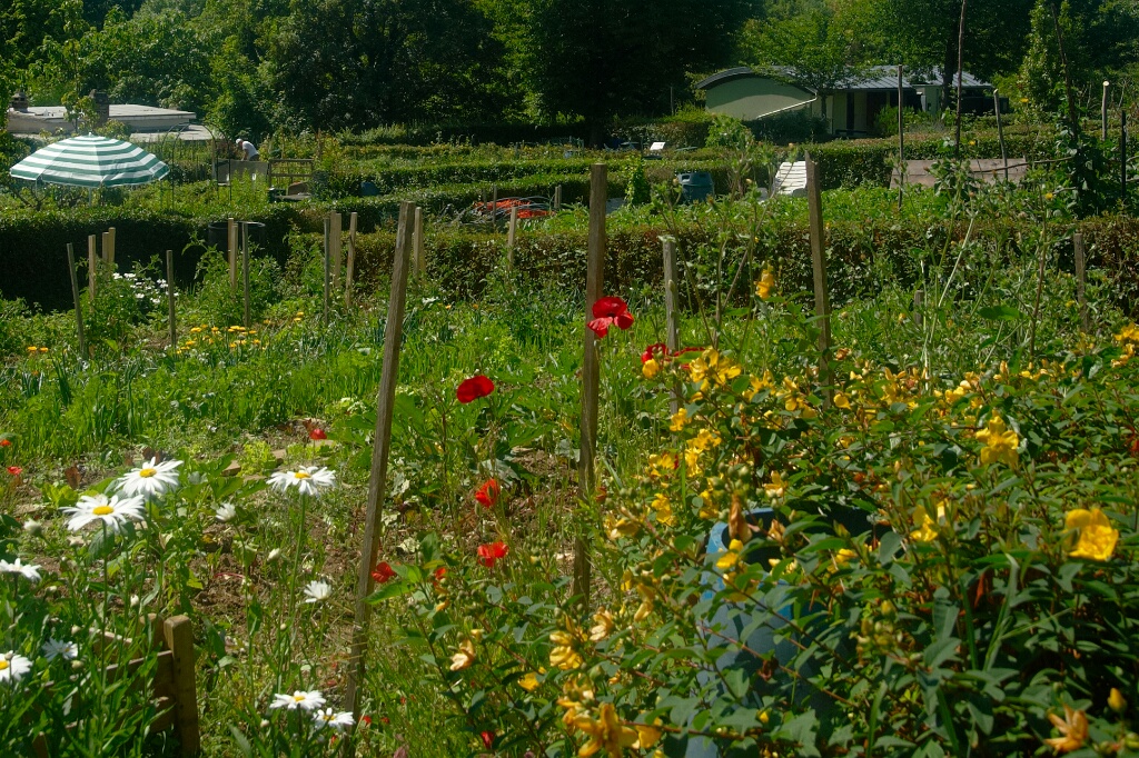 2009-06-27-jardin-OK (25)