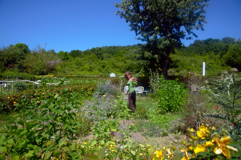 2009-06-27-jardin-OK (26)
