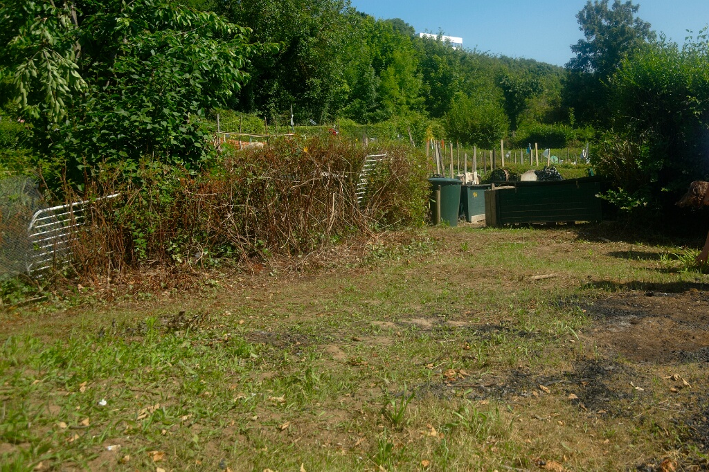 2009-06-27-jardin-OK (3)