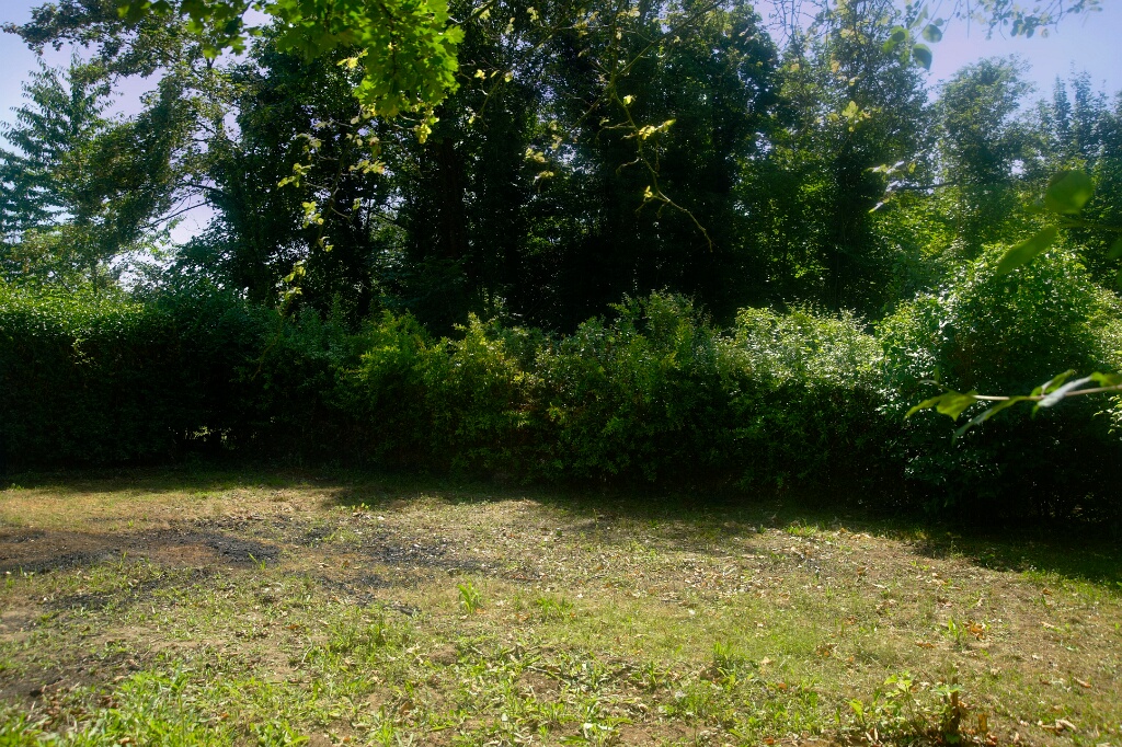 2009-06-27-jardin-OK (4)