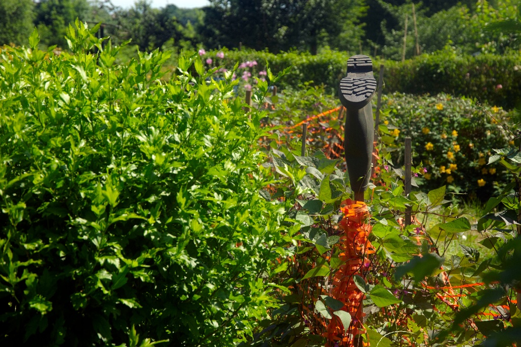 2009-06-27-jardin-OK (6)