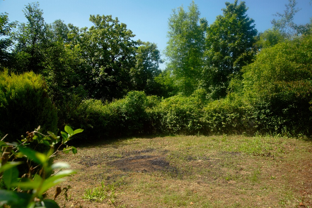 2009-06-27-jardin-OK (8)