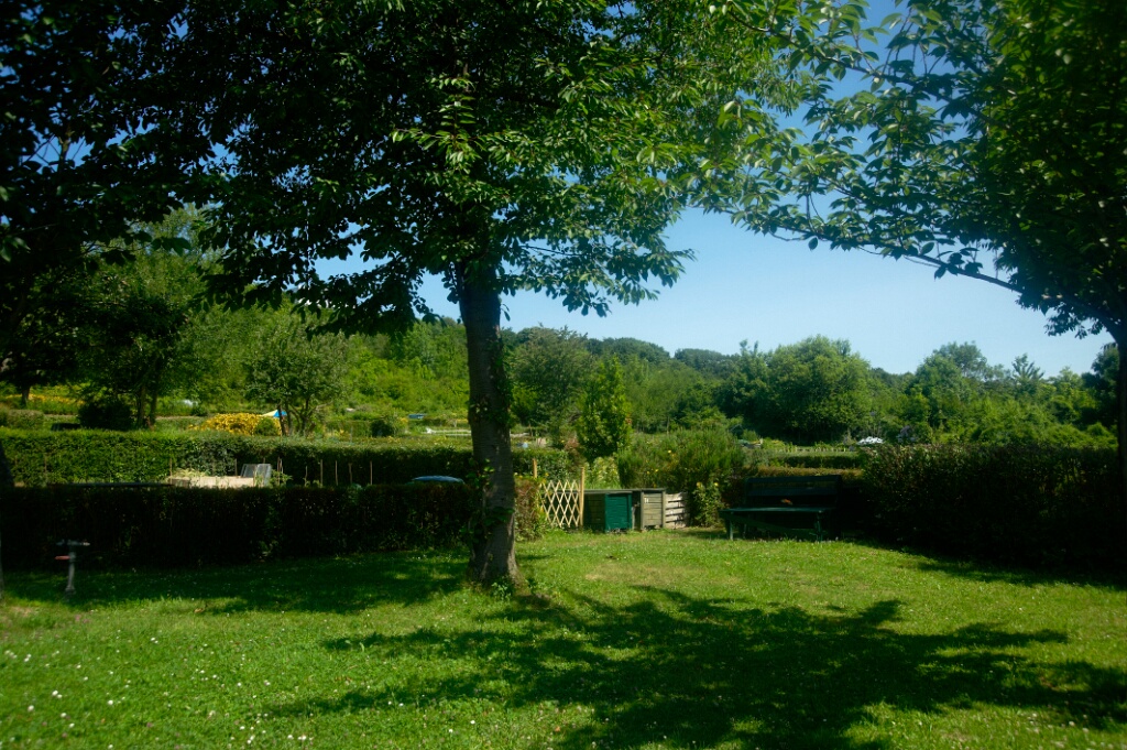 2009-06-27-jardin-OK