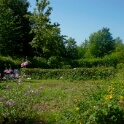 2009-06-27-jardin-OK (12)