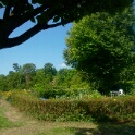2009-06-27-jardin-OK (14)