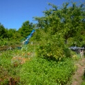 2009-06-27-jardin-OK (16)