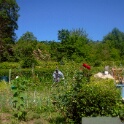 2009-06-27-jardin-OK (2)