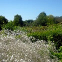 2009-06-27-jardin-OK (22)