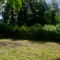2009-06-27-jardin-OK (4)