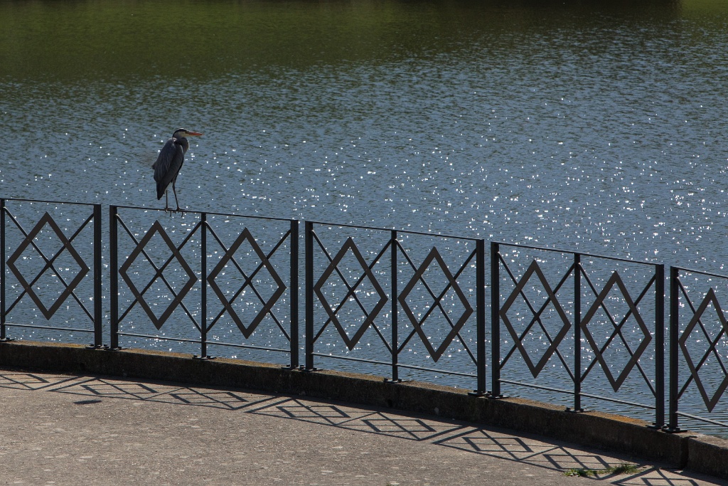 2011-04-18-114949-louviere-OK