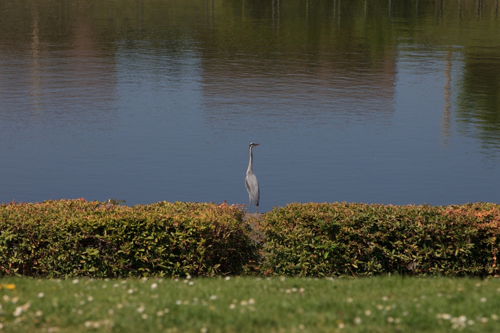 2011-04-18-115834-louviere-OK