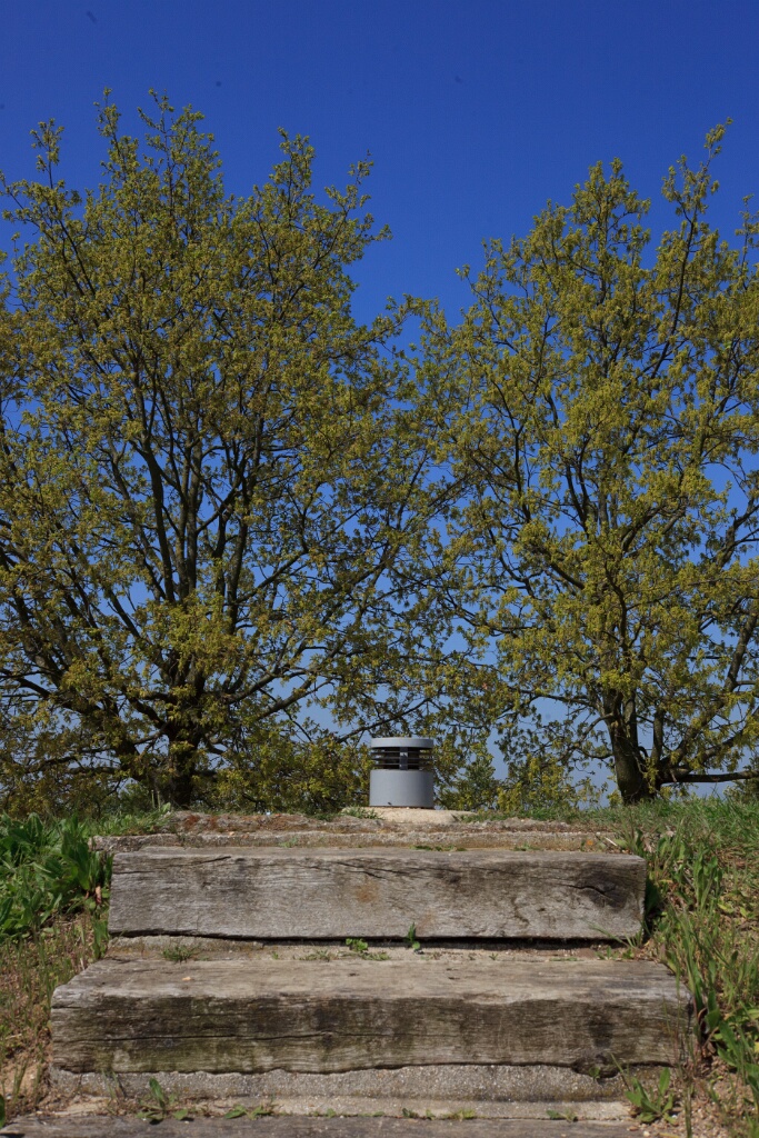 2011-04-18-125653-chat-perche-OK