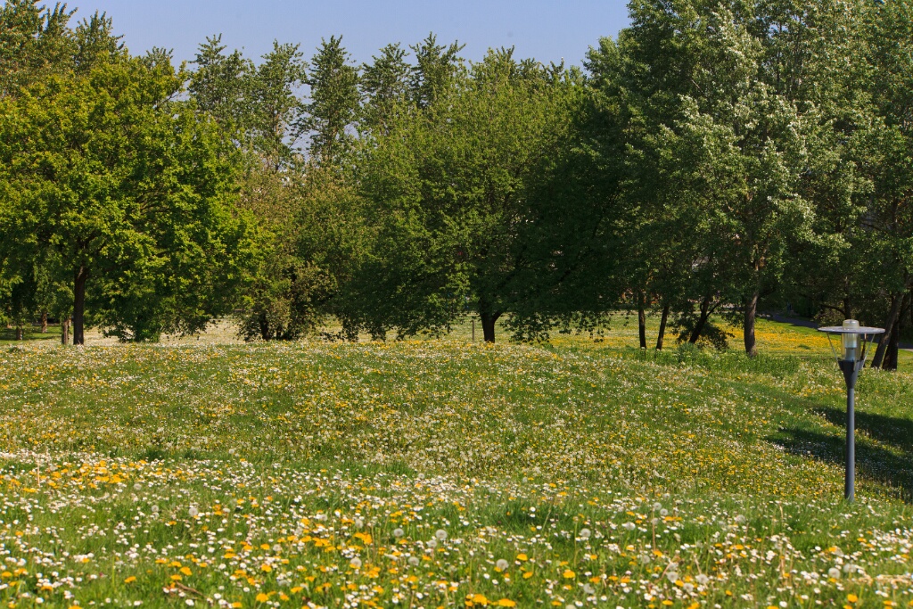 2011-04-18-130455-chat-perche-OK