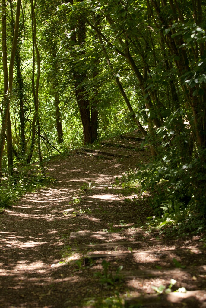 2011-05-09-131956-cote-carriers-OK