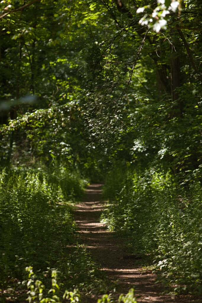 2011-05-09-135728-cote-carriers-OK