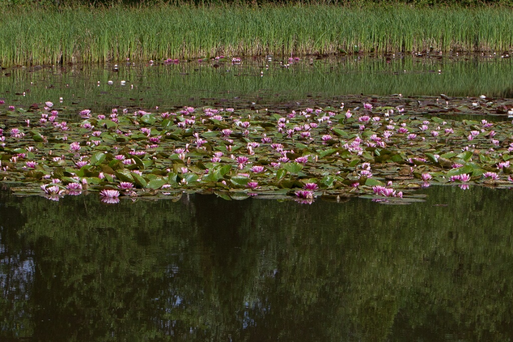 2011-05-09-154616-cote-carriers-OK