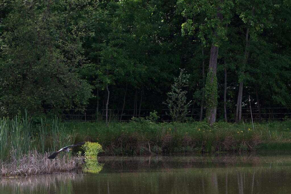 2011-05-09-155251-cote-carriers-OK