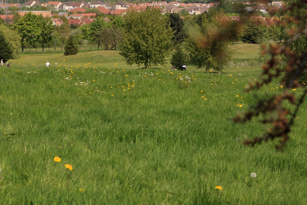 2011-04-19-115950-courdimanche-OK