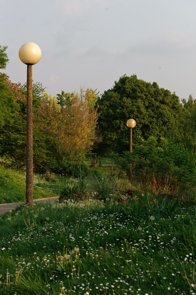 2011-04-24-182655-promenade-2bois-OK